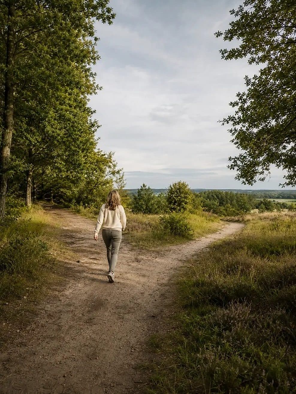 Wandelaar bij een splitsing op de heide — een nieuwe richting kiezen